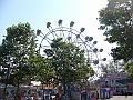 Western Michigan [2010] 175